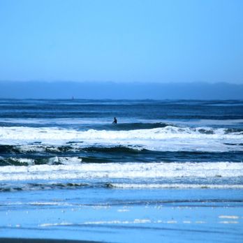Westhaven State Park - Parks Near Me - Westport, Washington Westhaven State Park - Parks Near Me - Westport, Washington