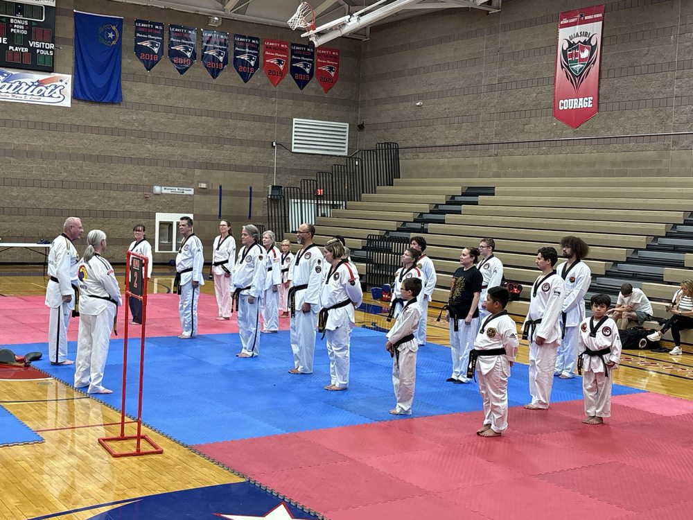 Lone Mountain Taekwondo Logo