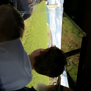 AAA Buggy Rides - Tours Near Me - Ronks, Pennsylvania AAA Buggy Rides - Tours Near Me - Ronks, Pennsylvania