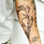 Photo of Lilson Tattoo