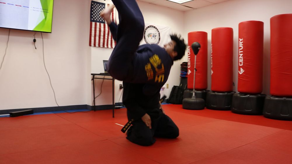 Puma Kenpo Logo