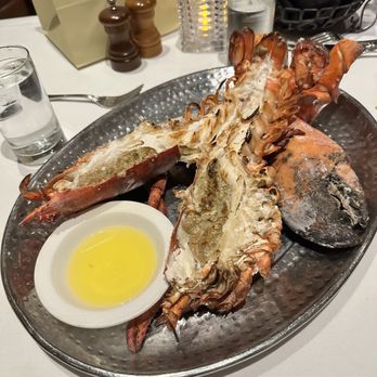 The Palm - Tysons - Lobster - Seafood Near Me - Tysons Corner, Virginia