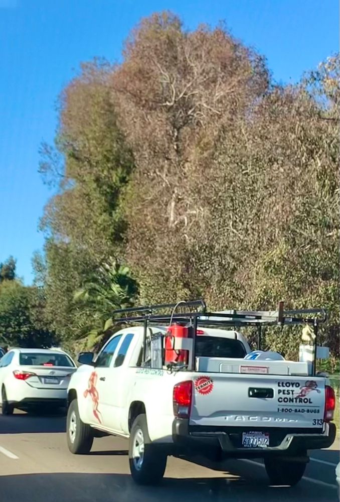 LLOYD PEST CONTROL Updated October 2024 12 Reviews San Diego, California Pest Control