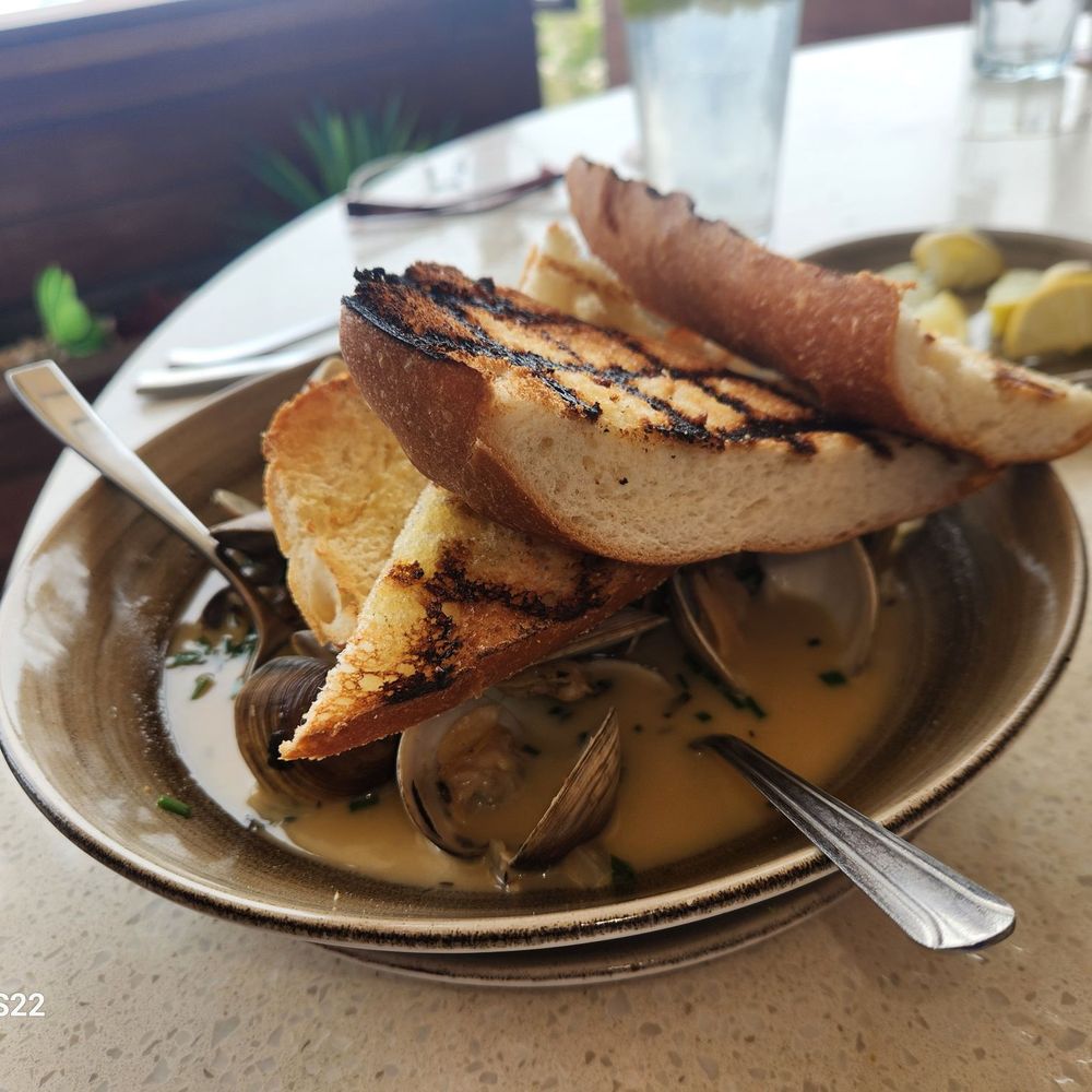 Beach House - Mussels yummy! - Bars Near Me - Pompano Beach, Florida Beach House - Mussels yummy! - Bars Near Me - Pompano Beach, Florida