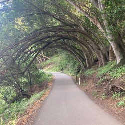 Alameda Eyes Optometry - See the path more clearly.