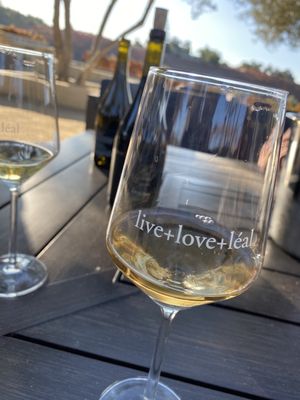 Leal Vineyards and Winery by null