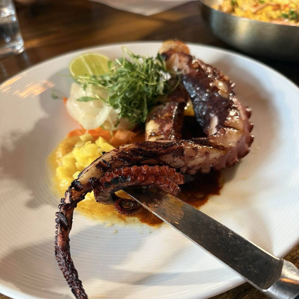 Toro Bravo - Octopus - Steakhouses Near Me - Reno, Nevada Toro Bravo - Octopus - Steakhouses Near Me - Reno, Nevada