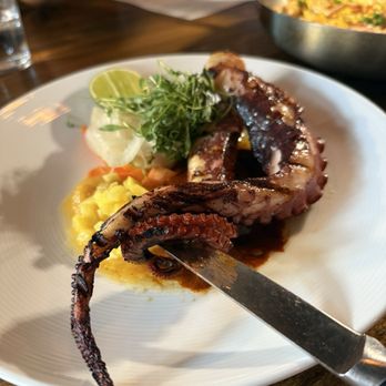 Toro Bravo - Octopus - Steakhouses Near Me - Reno, Nevada