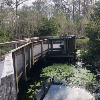 Kirby Storter Roadside Park - Parks Near Me - Ochopee, Florida