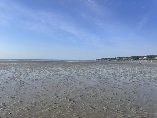 Wingaersheek Beach by null