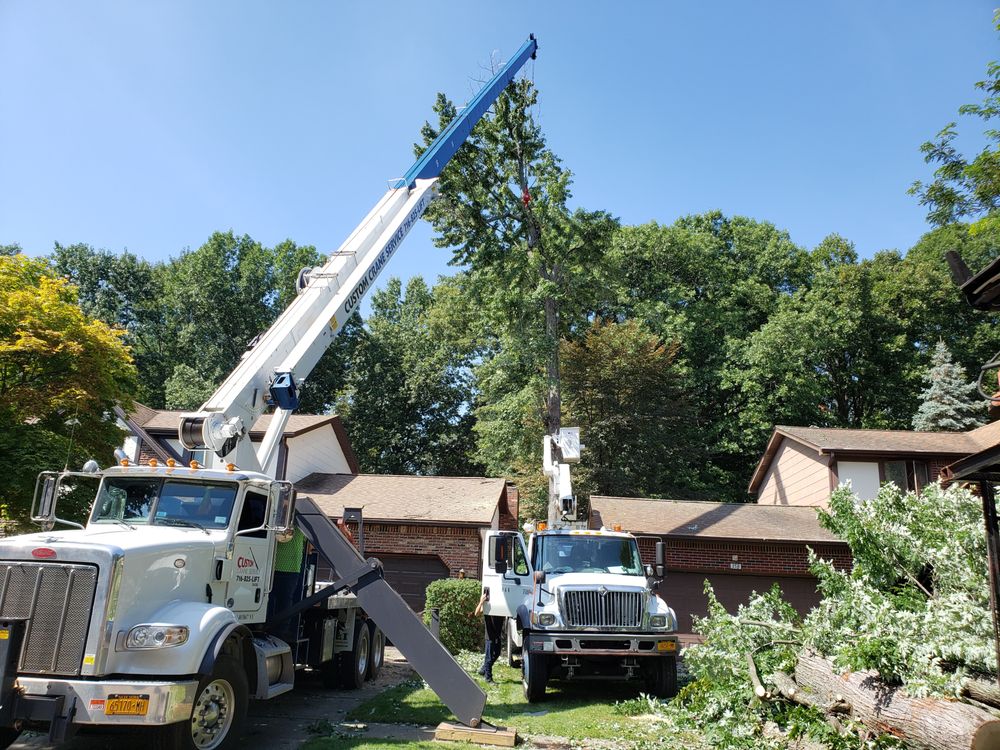 V&M Tree Services - tree service in East Amherst, NY