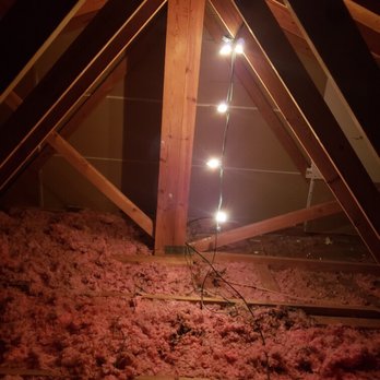5 Star Wildlife Control - Fidencio closed and sealed firewall between my unit and my neighbors. - Pest Control Near Me - Garland, Texas 5 Star Wildlife Control - Fidencio closed and sealed firewall between my unit and my neighbors. - Pest Control Near Me - Garland, Texas