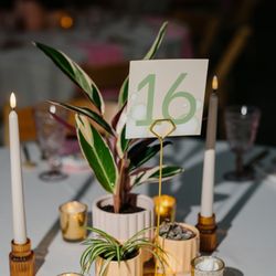 Pamana Plantas - Wedding centerpieces provided by Pamana Plantas (PC: @seanskii)