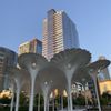 Bellevue Downtown Park gift card