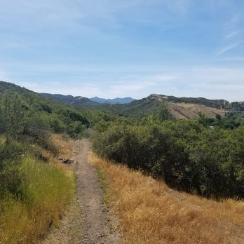 Pentachaeta Trail - Hiking Near Me - Westlake Village, California Pentachaeta Trail - Hiking Near Me - Westlake Village, California