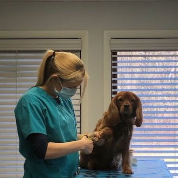 Lenape Veterinary Clinic - Veterinarians Near Me - West Chester, Pennsylvania