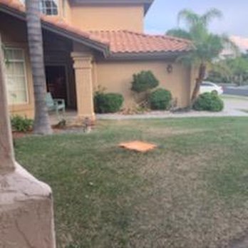 Marcelino's Tree Service - Tree Services Near Me - Hemet, California Marcelino's Tree Service - Tree Services Near Me - Hemet, California