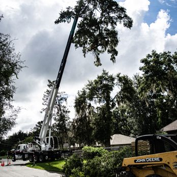 Jolly Logger Treeco - A crane lifting a tree top out of a back yard - Tree Services Near Me - Hampton, Florida Jolly Logger Treeco - A crane lifting a tree top out of a back yard - Tree Services Near Me - Hampton, Florida