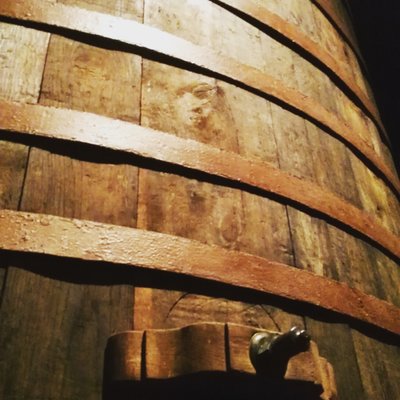 Rioja Wine Tours by null