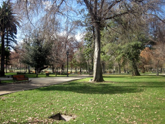Parque Forestal by null