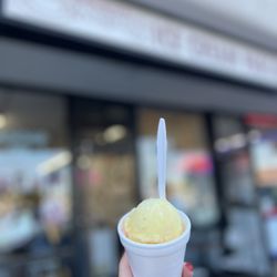 Oasis Ice Cream Parlor - Pineapple and guava