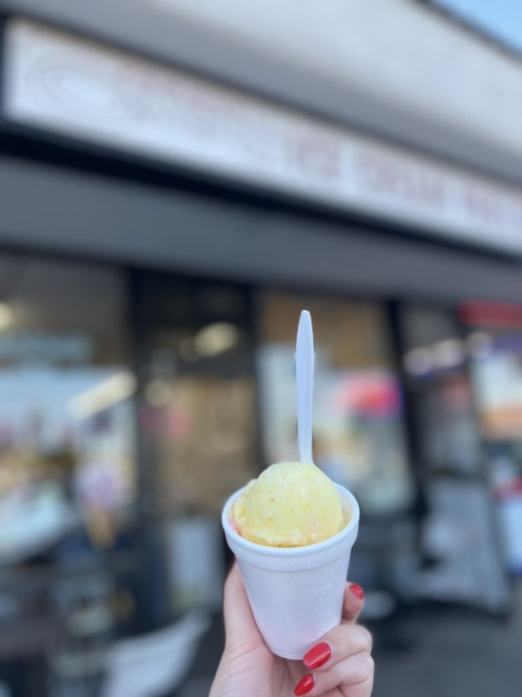 Oasis Ice Cream Parlor Logo