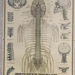 Eder Chiropractic Center