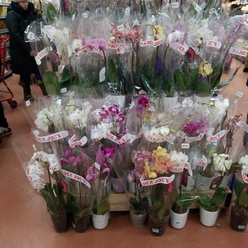 Trader Joe's - Grocery Near Me - Queens, New York Trader Joe's - Grocery Near Me - Queens, New York