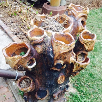 Elizabeth Street Gallery by null