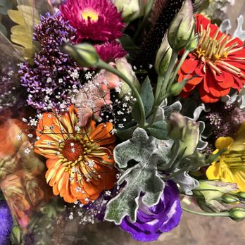 Five Points Junction - Florist cut flowers - Farmers Market Near Me - Oxford, Pennsylvania Five Points Junction - Florist cut flowers - Farmers Market Near Me - Oxford, Pennsylvania