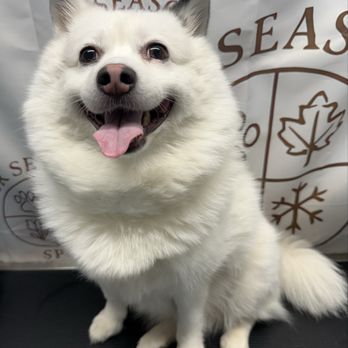 Fur Seasons Spa - Pet Groomers Near Me - Oak Creek, Wisconsin Fur Seasons Spa - Pet Groomers Near Me - Oak Creek, Wisconsin