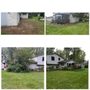 Photo of XA&D Tree Services