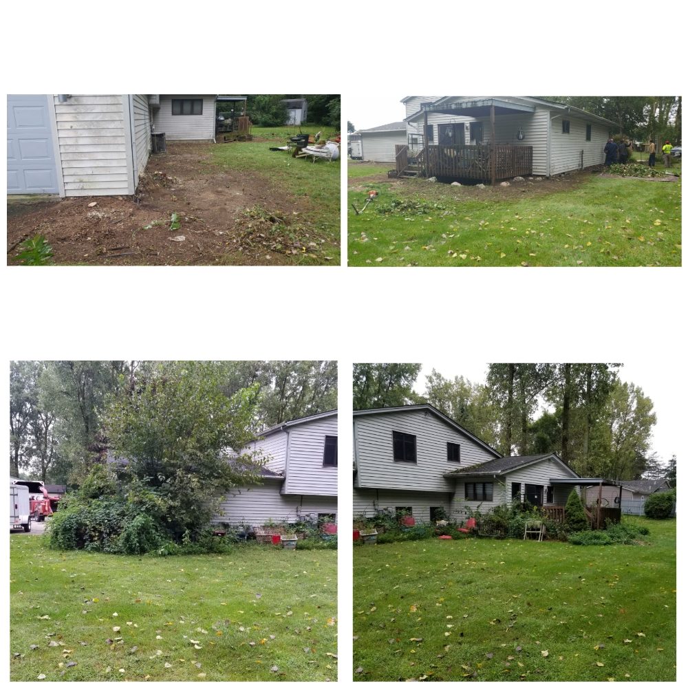 XA&D Tree Services - tree service in Detroit, MI