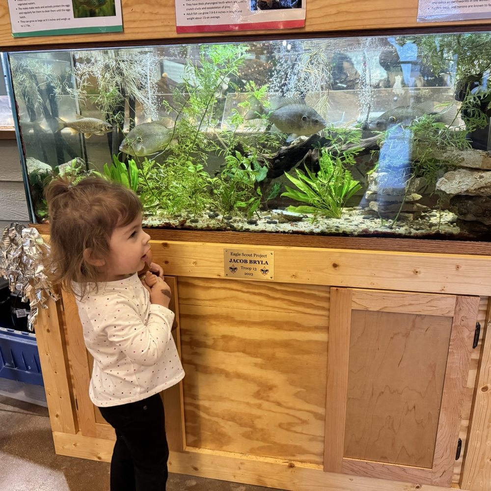 Hickory Knolls Discovery Center - Fish tank - Parks Near Me - Saint Charles, Illinois Hickory Knolls Discovery Center - Fish tank - Parks Near Me - Saint Charles, Illinois