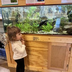 Hickory Knolls Discovery Center - Fish tank