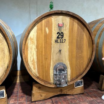 Tenuta Fanti - Wineries Near Me - Siena, SI