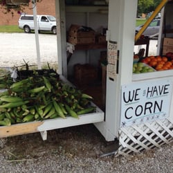 Local Farmers Market - Sweet corn