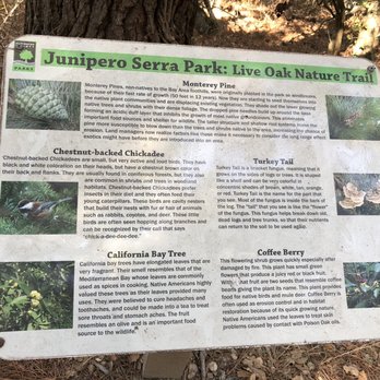 Junipero Serra Park - 10.11.20 - Parks Near Me - San Bruno, California