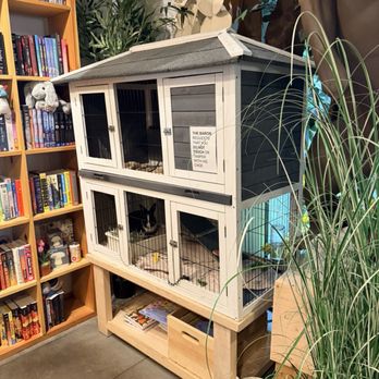 The Writer's Block - Bookstores Near Me - Las Vegas, Nevada The Writer's Block - Bookstores Near Me - Las Vegas, Nevada