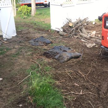 McCartney's Tree Service - Tree Services Near Me - Englishtown, New Jersey McCartney's Tree Service - Tree Services Near Me - Englishtown, New Jersey