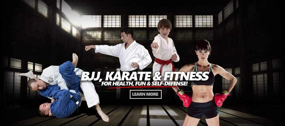 The Dojo Logo