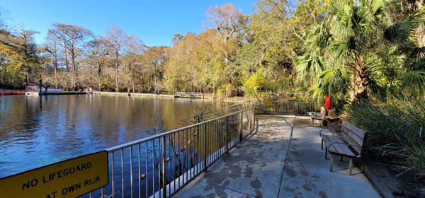 Fanning Springs State Park by null