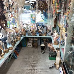 The Florida Shell Shop - Trinkets
