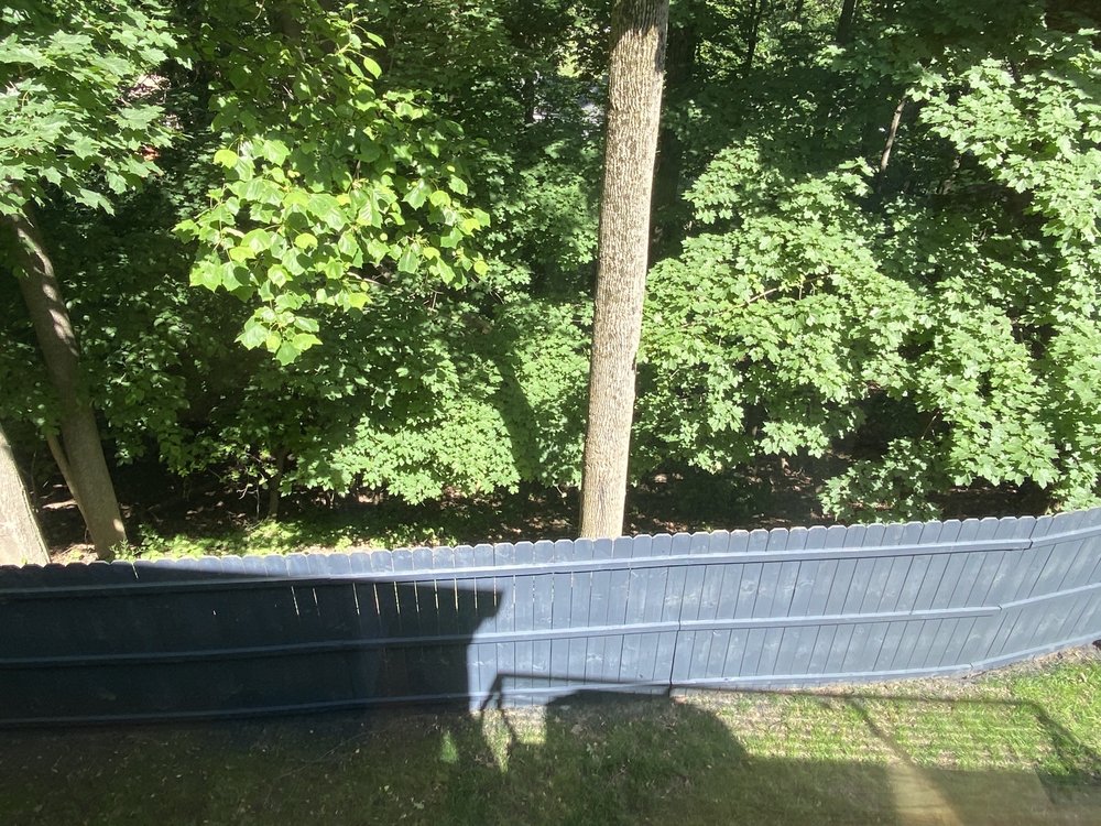 WOW 1 DAY PAINTING MORRIS COUNTY Updated May 2024 12 Photos