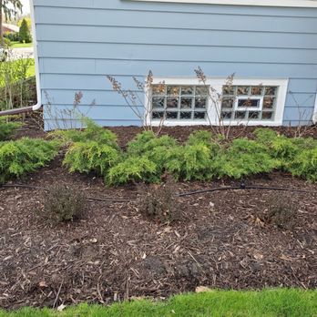 My Secret Garden Landscaping - Hydrangeas, juniper and bayberry bushes. - Landscaping Near Me My Secret Garden Landscaping - Hydrangeas, juniper and bayberry bushes. - Landscaping Near Me