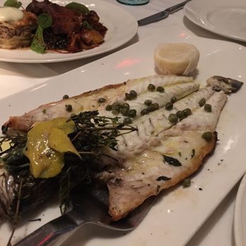 Nerai - Greek Near Me - New York, New York Nerai - Greek Near Me - New York, New York