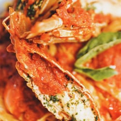 The Spaghetti House Trattoria