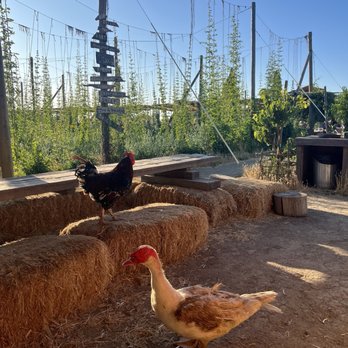 Ruhstaller Farm - Breweries Near Me - Dixon, California Ruhstaller Farm - Breweries Near Me - Dixon, California