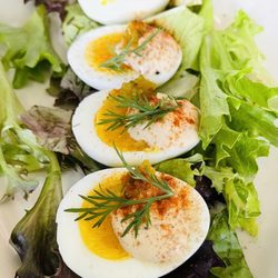 Toast - Almost Deviled eggs