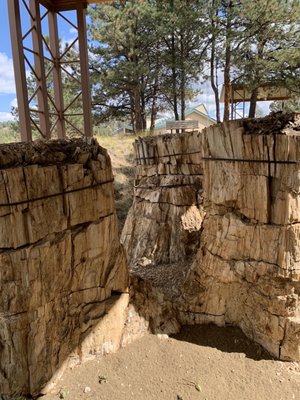 Florissant Fossil Beds National Monument by null